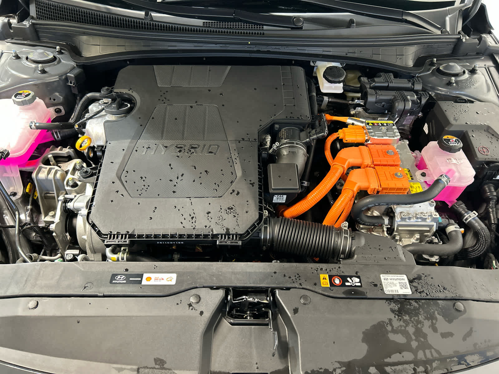 Used 2026 Hyundai Elantra SEL FWD image 10