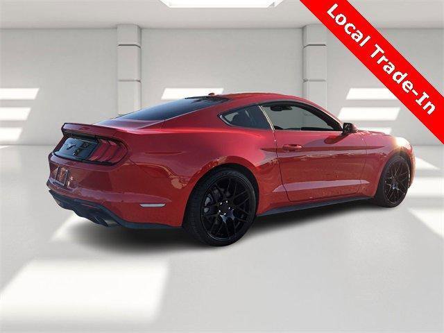 Used 2019 Ford Mustang Coupe w/ Equipment Group 101A image 5