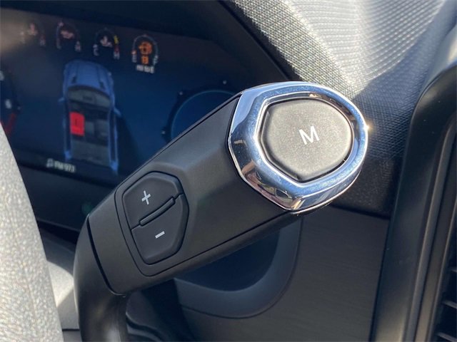 New 2025 Ford F150 STX w/ STX Black Appearance Package image 5