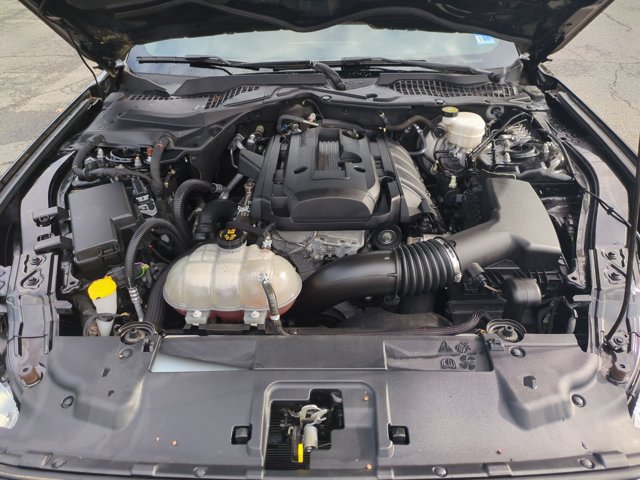 Used 2019 Ford Mustang Coupe w/ Equipment Group 101A RWD image 21
