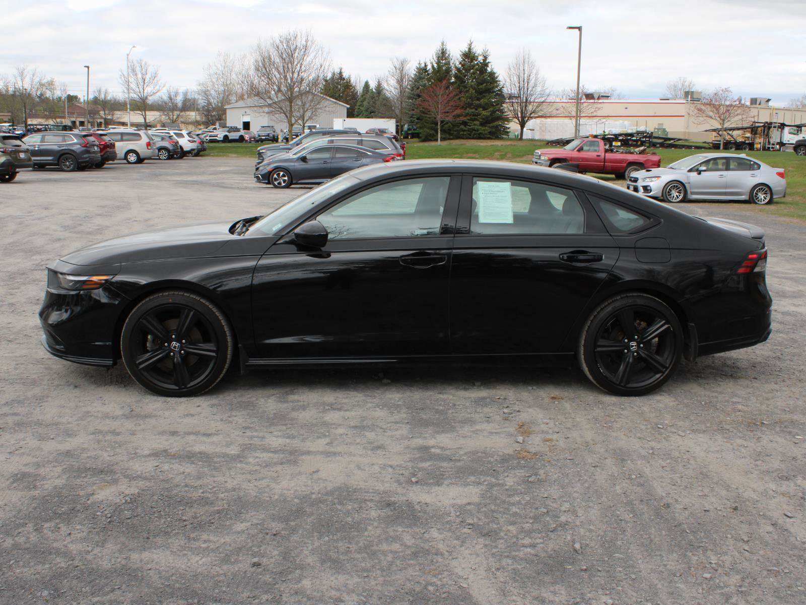 Used 2024 Honda Accord Sport image 5