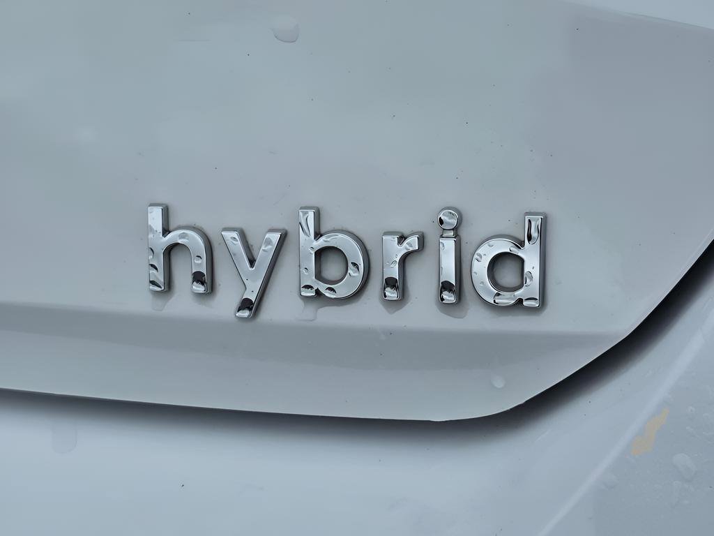 Used 2023 Hyundai Elantra Limited w/ Cargo Package image 12