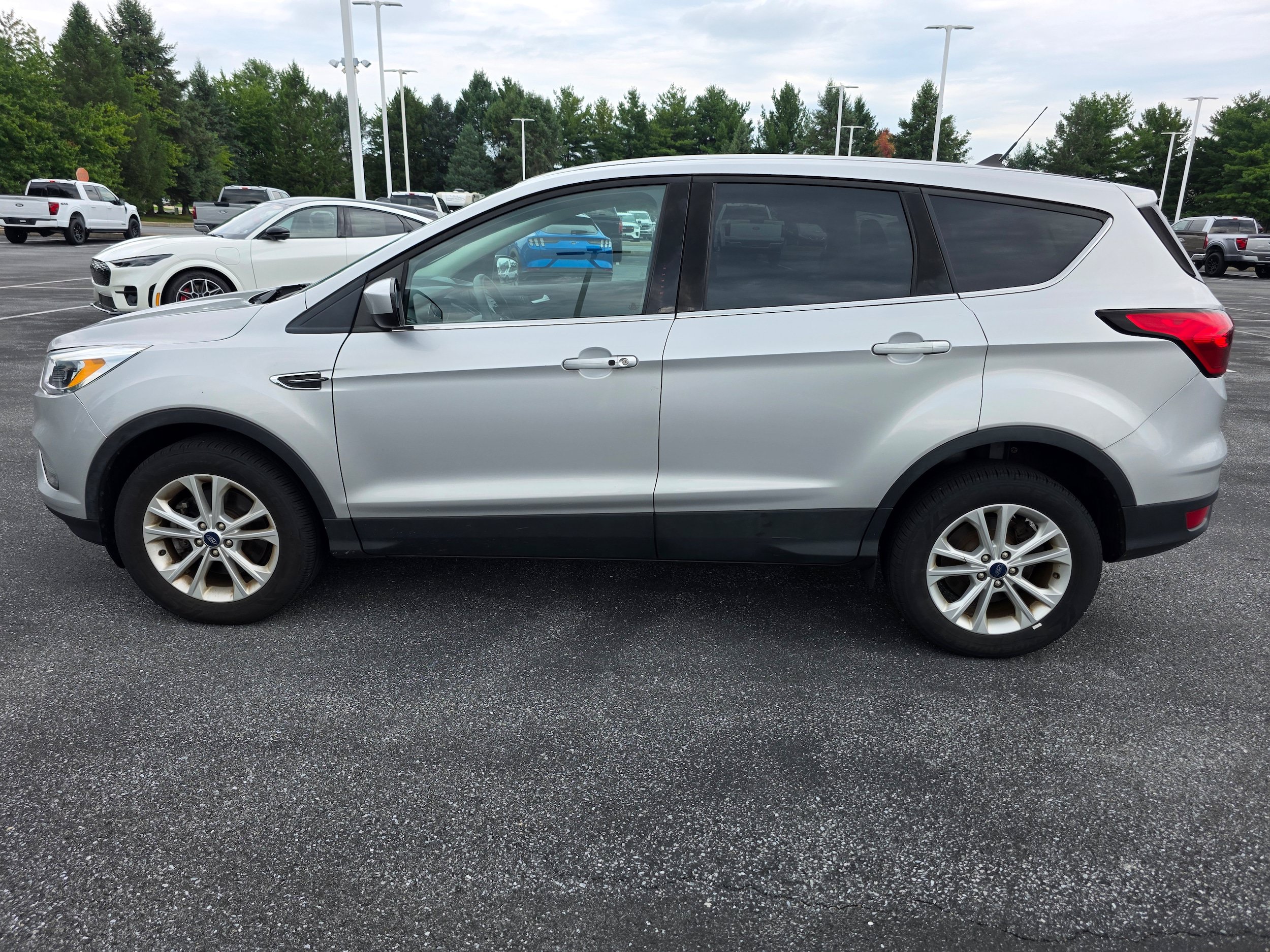 Used 2019 Ford Escape SE AWD/4WD video 2