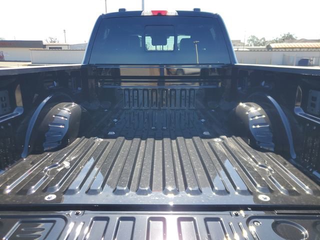 New 2026 Ford F250 Platinum w/ Tremor Off-Road Package image 6