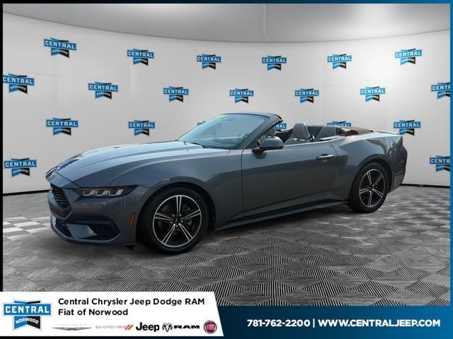 Used 2024 Ford Mustang Premium RWD image 1