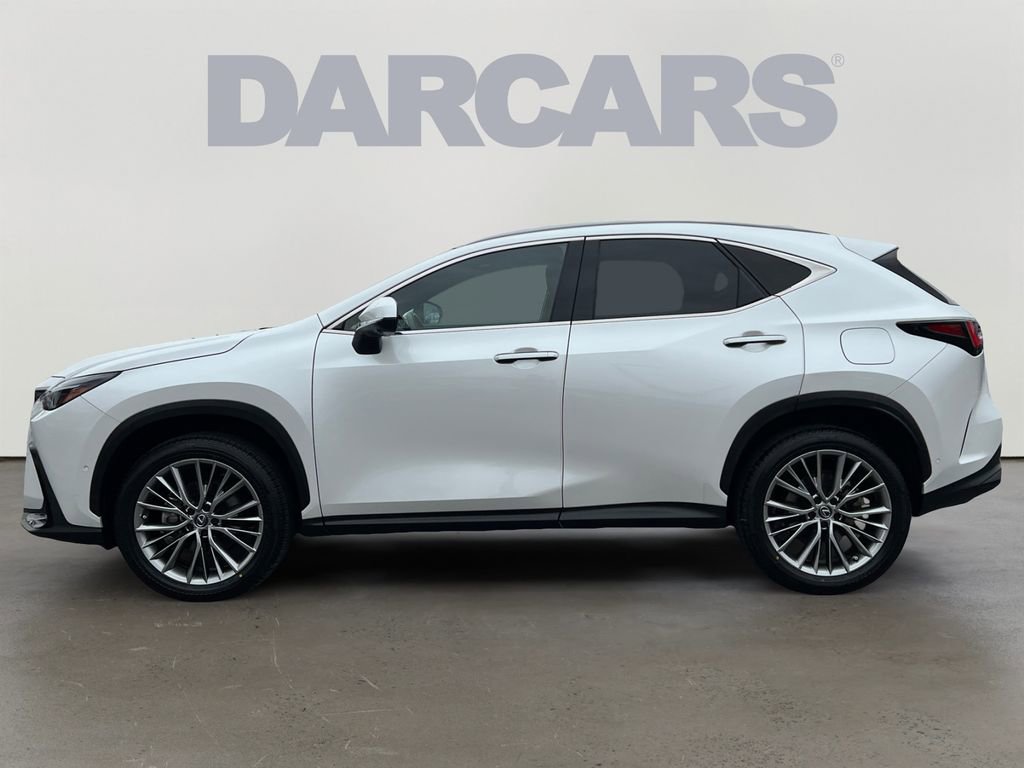 Certified 2024 Lexus NX 300h 350h Luxury image 3