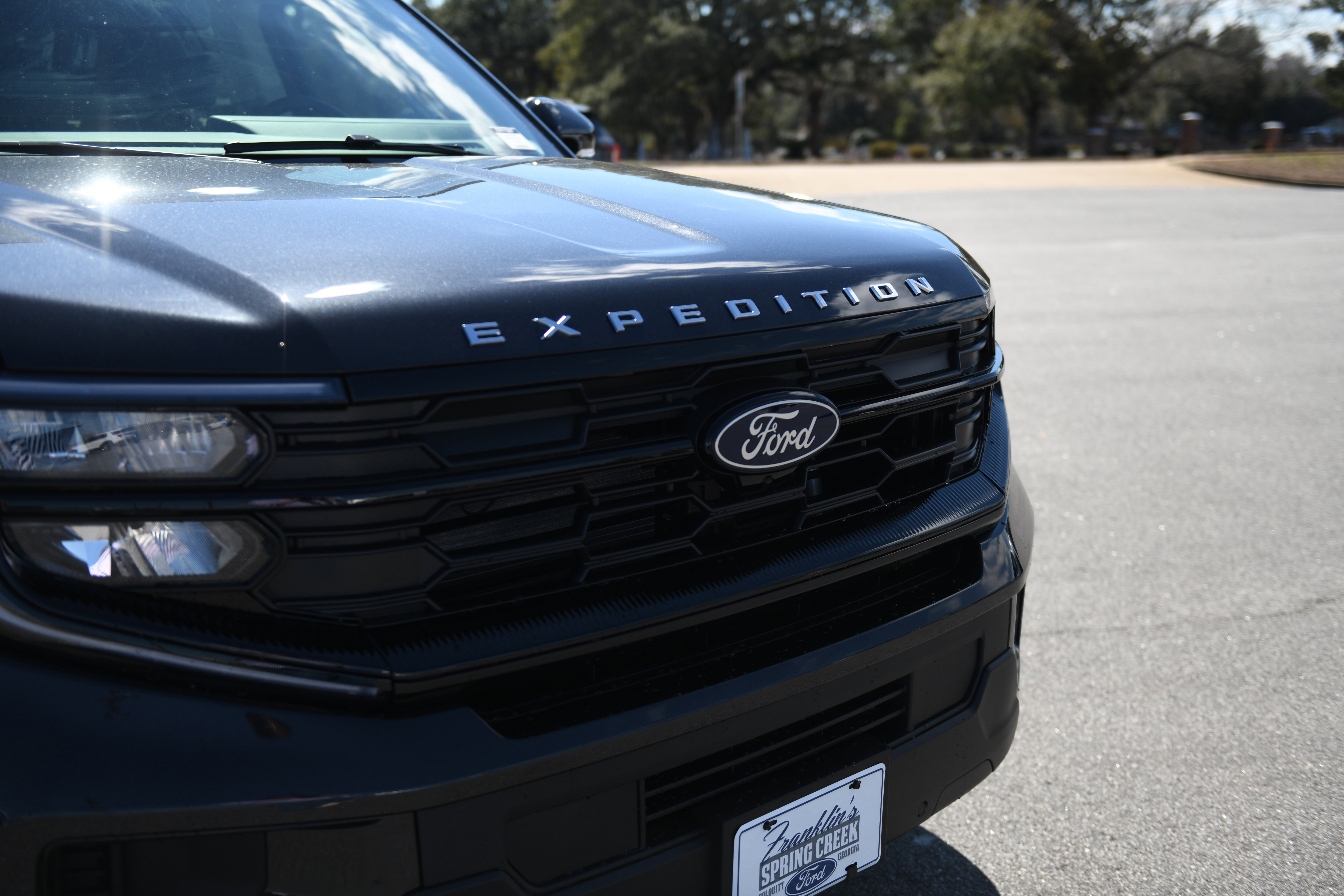 New 2026 Ford Expedition Active image 6