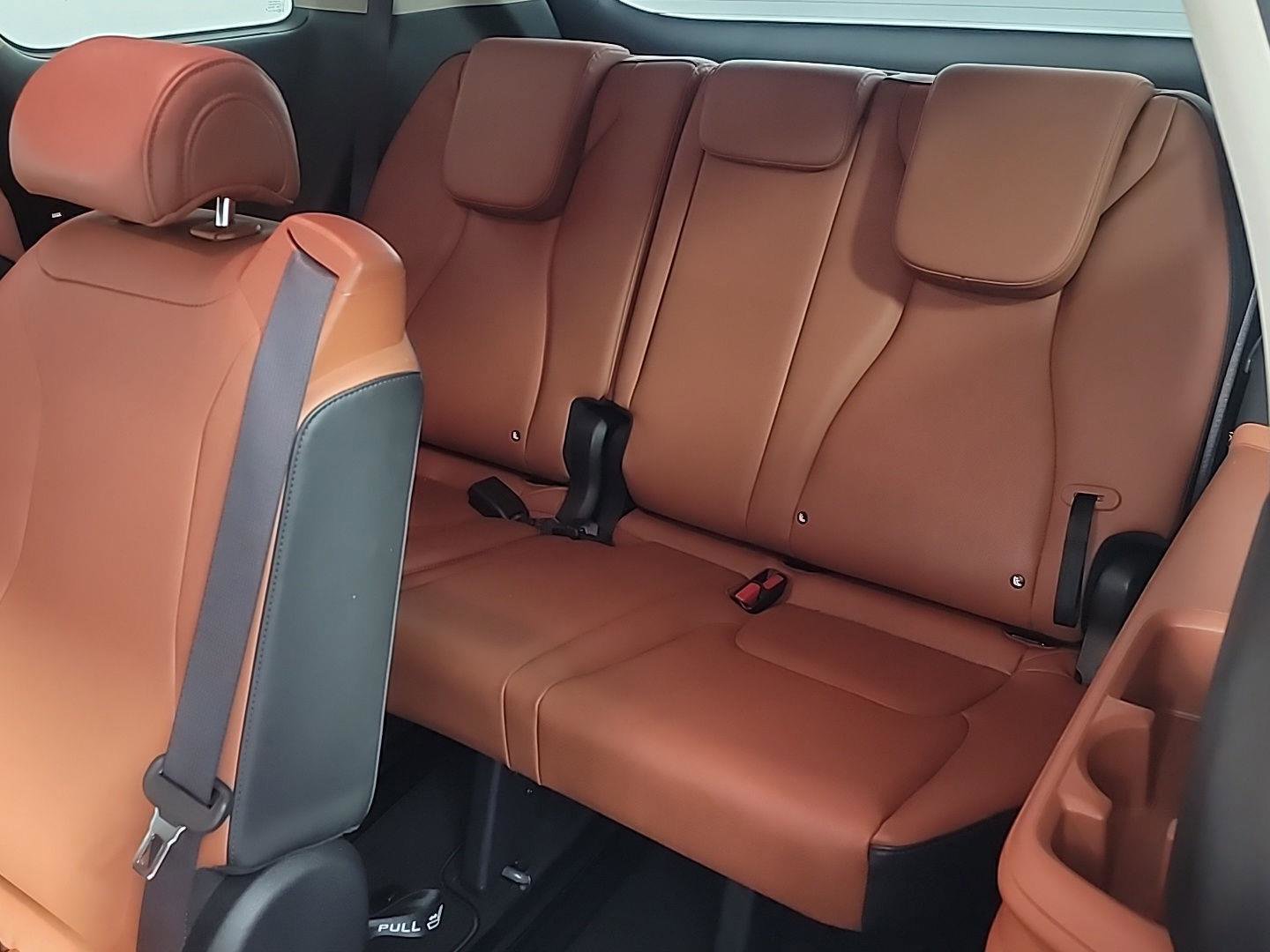 Used 2024 Kia Carnival SX image 17