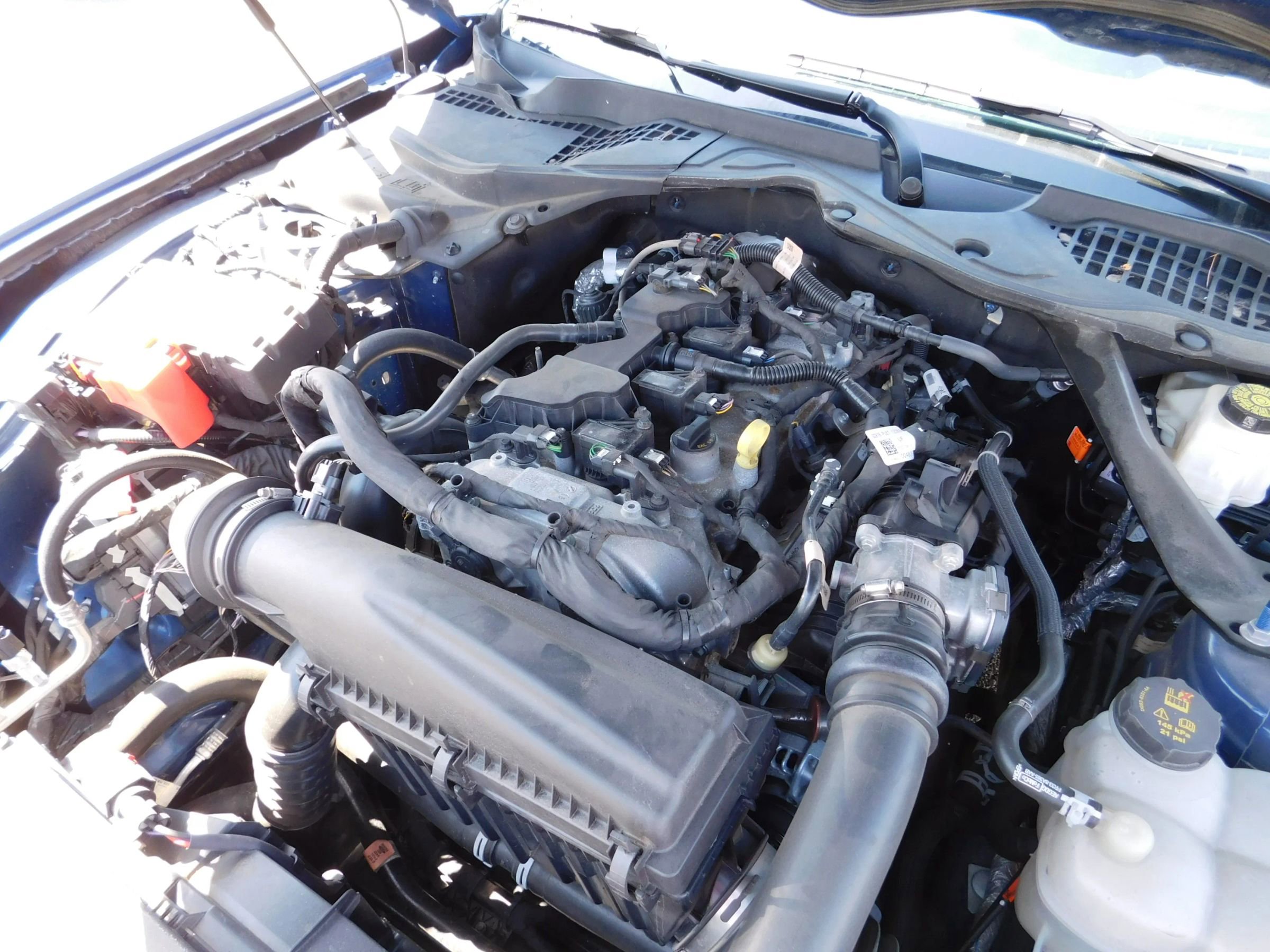 Used 2024 Ford Mustang Premium image 19