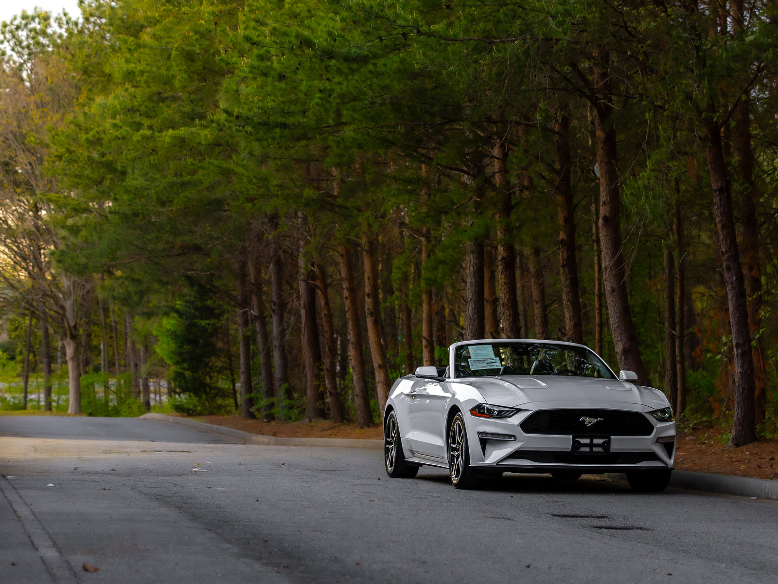 Used 2022 Ford Mustang Premium image 37
