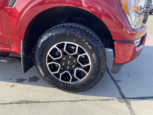 Used 2022 Ford F150 XLT w/ Equipment Group 302A High image 4