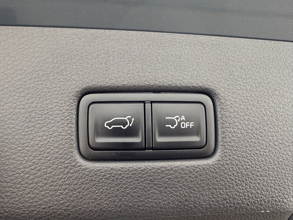 Used 2024 Kia Carnival EX image 15