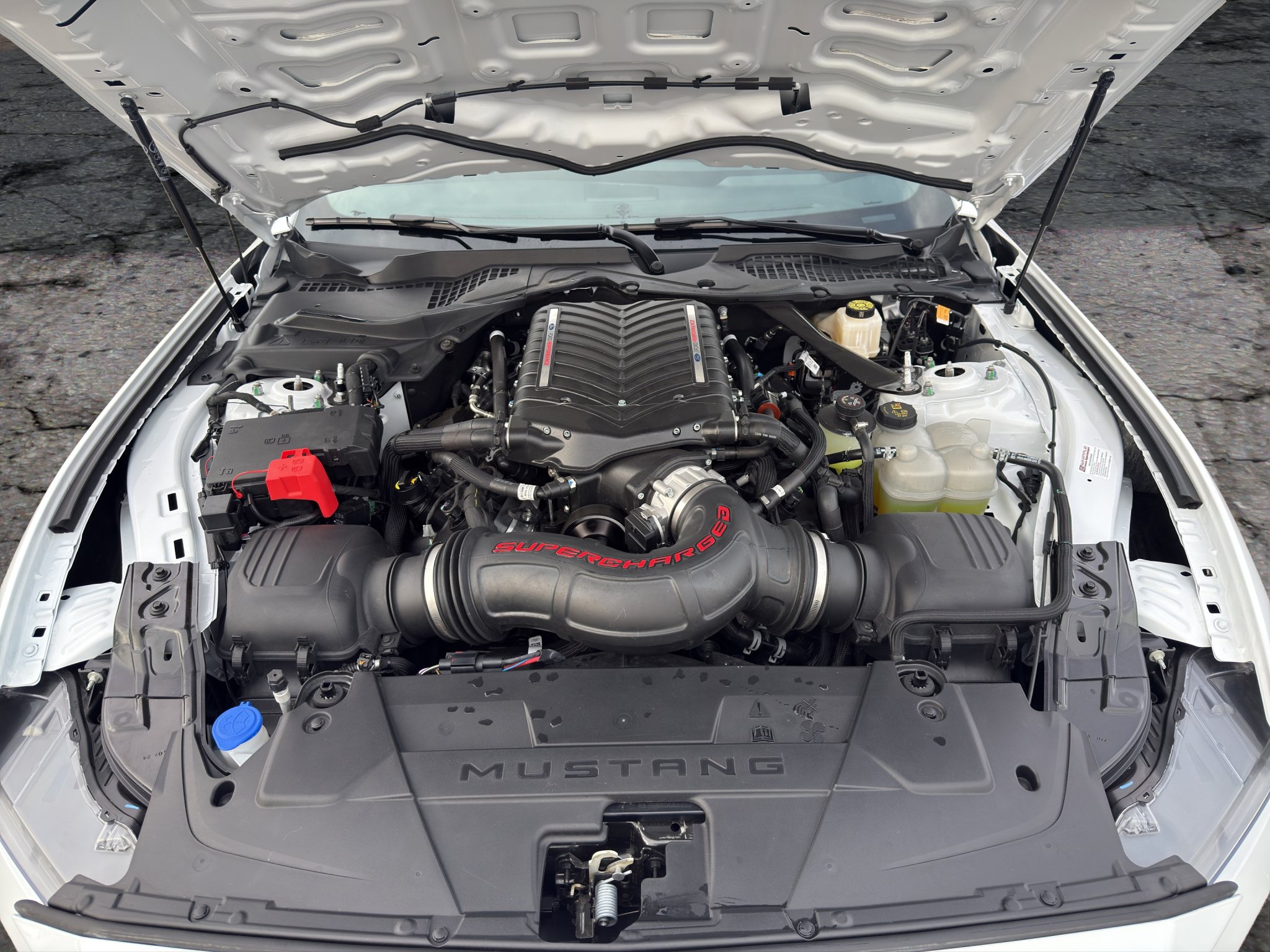 Used 2025 Ford Mustang GT Premium w/ GT Performance Package RWD image 19