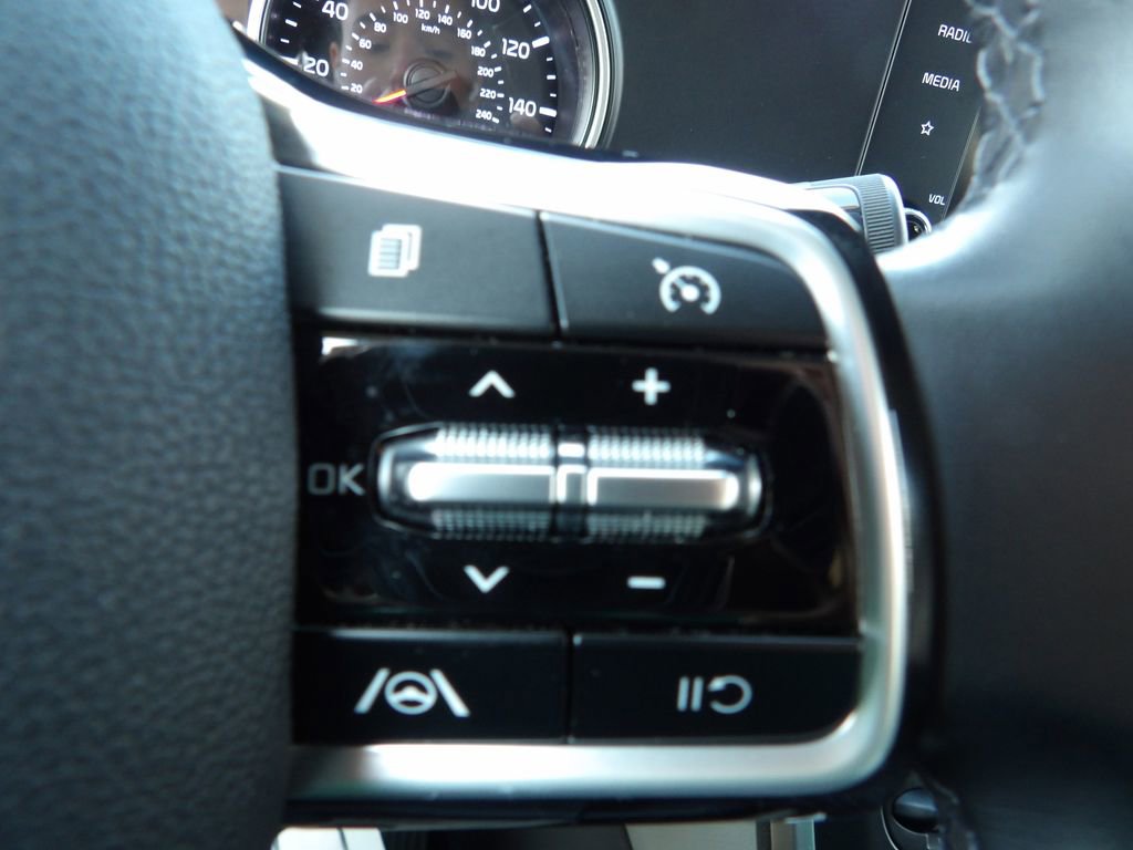 Used 2022 Kia Carnival LX FWD image 16