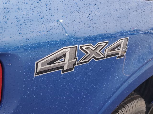 Used 2025 Ford F150 XL w/ Equipment Group 103A High image 6