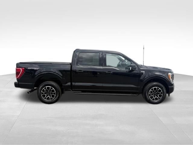 Used 2023 Ford F150 XLT w/ Equipment Group 302A High AWD/4WD image 9