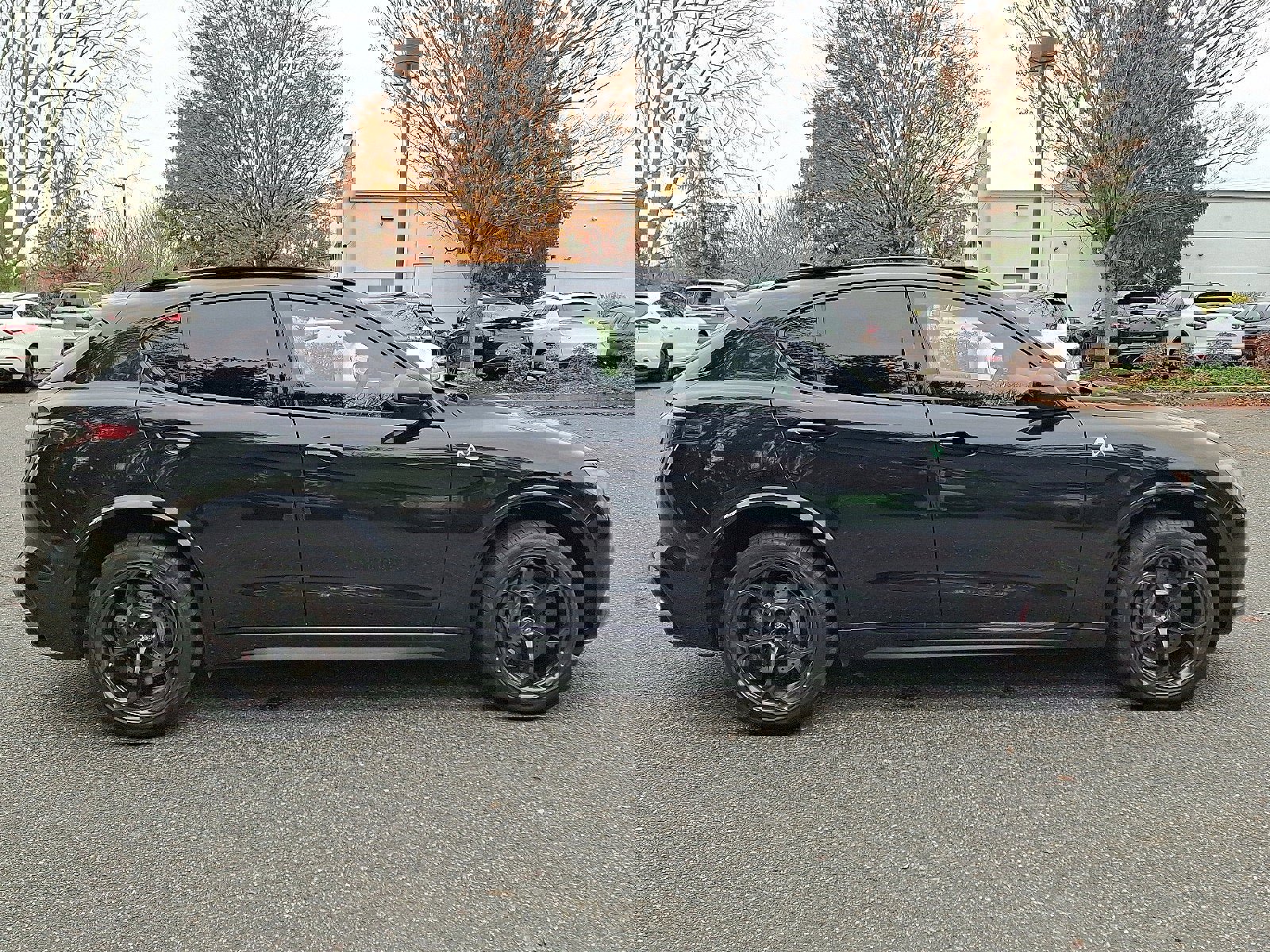 Used 2024 Alfa Romeo Stelvio Quadrifoglio w/ Active Assist Plus Package image 7