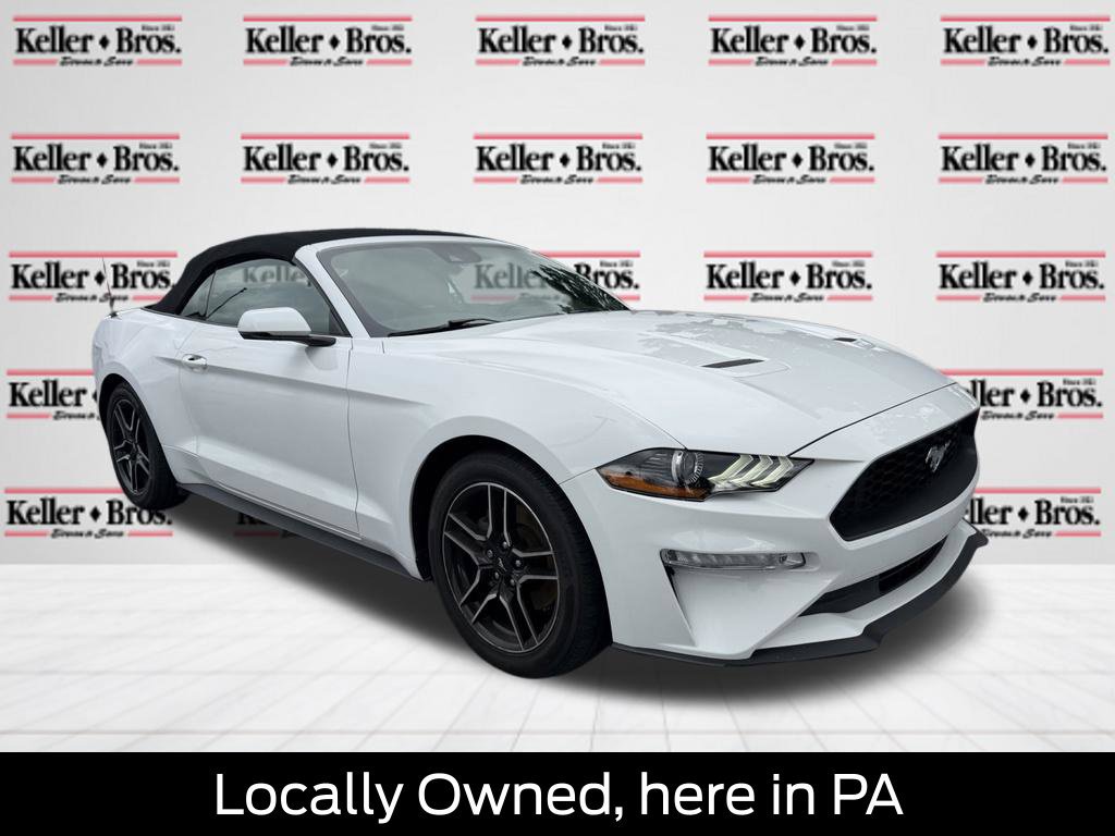 Used 2019 Ford Mustang Premium w/ Equipment Group 201A
