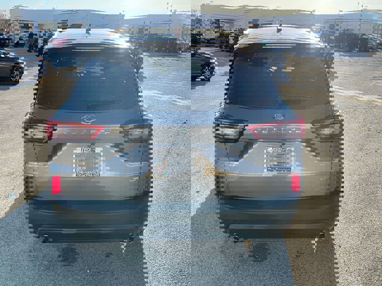 Used 2025 Ford Escape ST-Line w/ Equipment Group 301A image 7