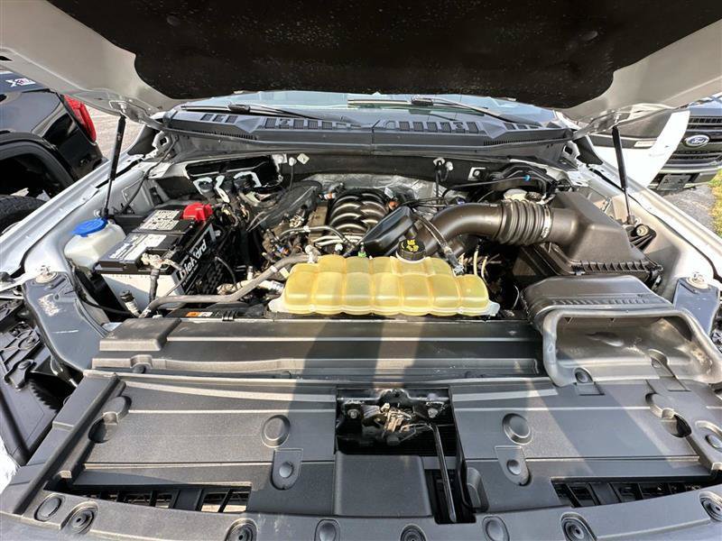 Used 2019 Ford F150 XLT w/ Equipment Group 302A Luxury AWD/4WD image 6