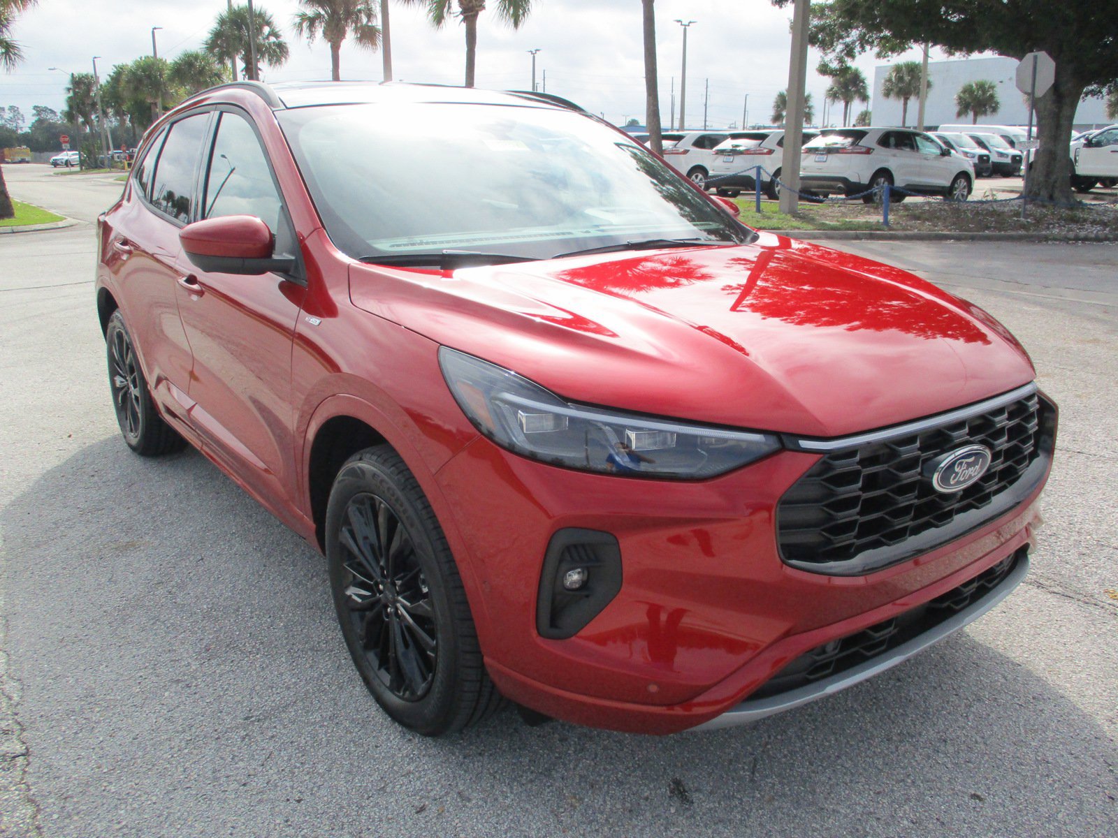 New 2024 Ford Escape ST-Line Elite w/ Premium Technology Package