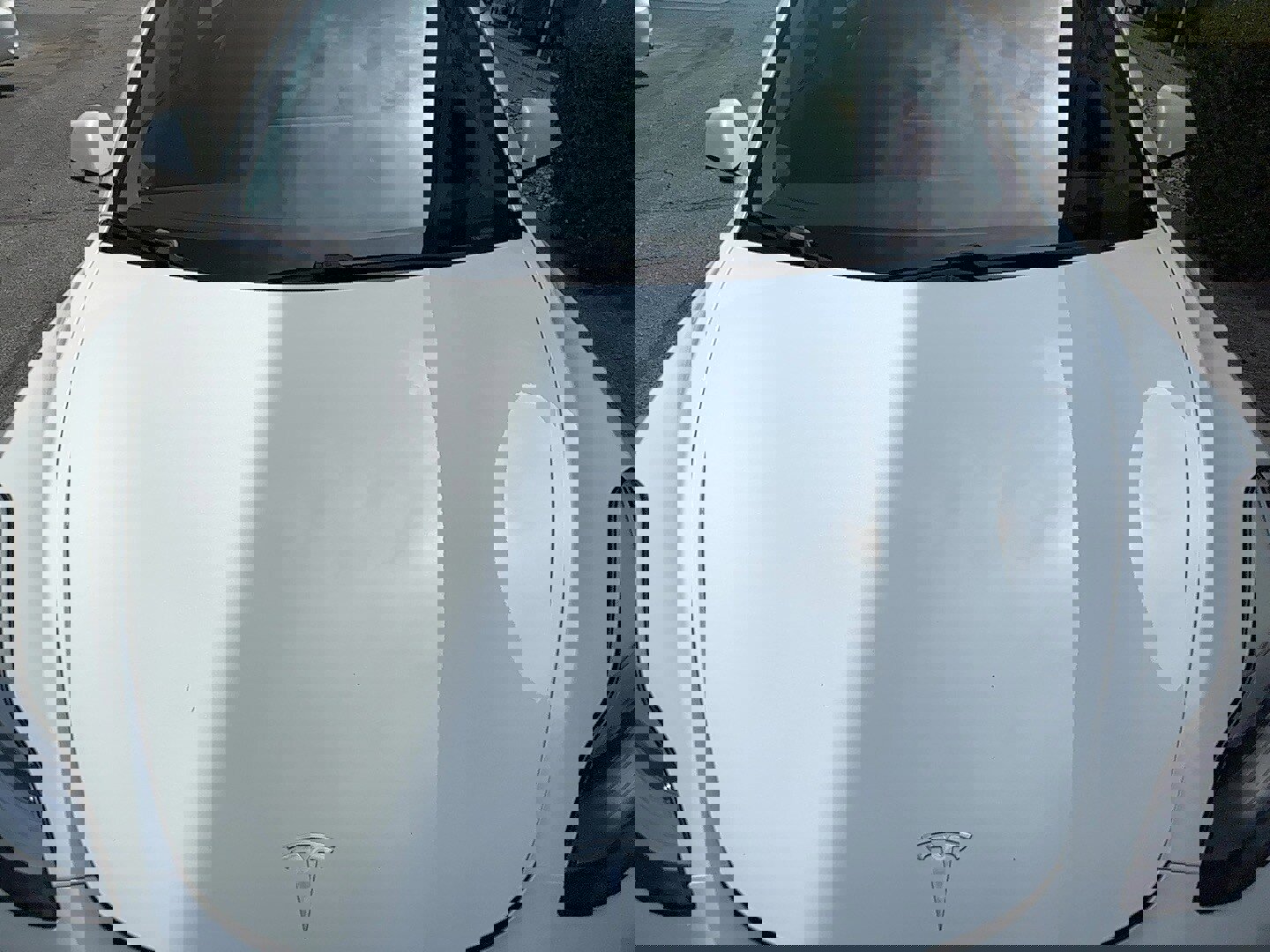 Used 2021 Tesla Model 3 Standard Range Plus image 23