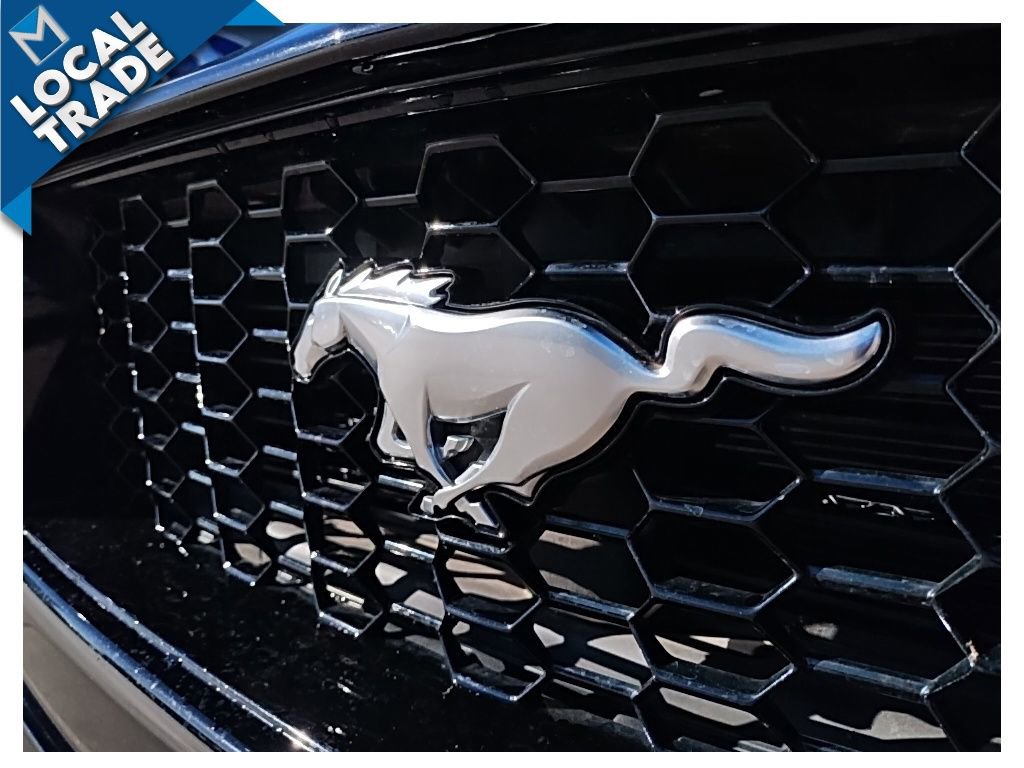 Used 2024 Ford Mustang GT Premium image 14