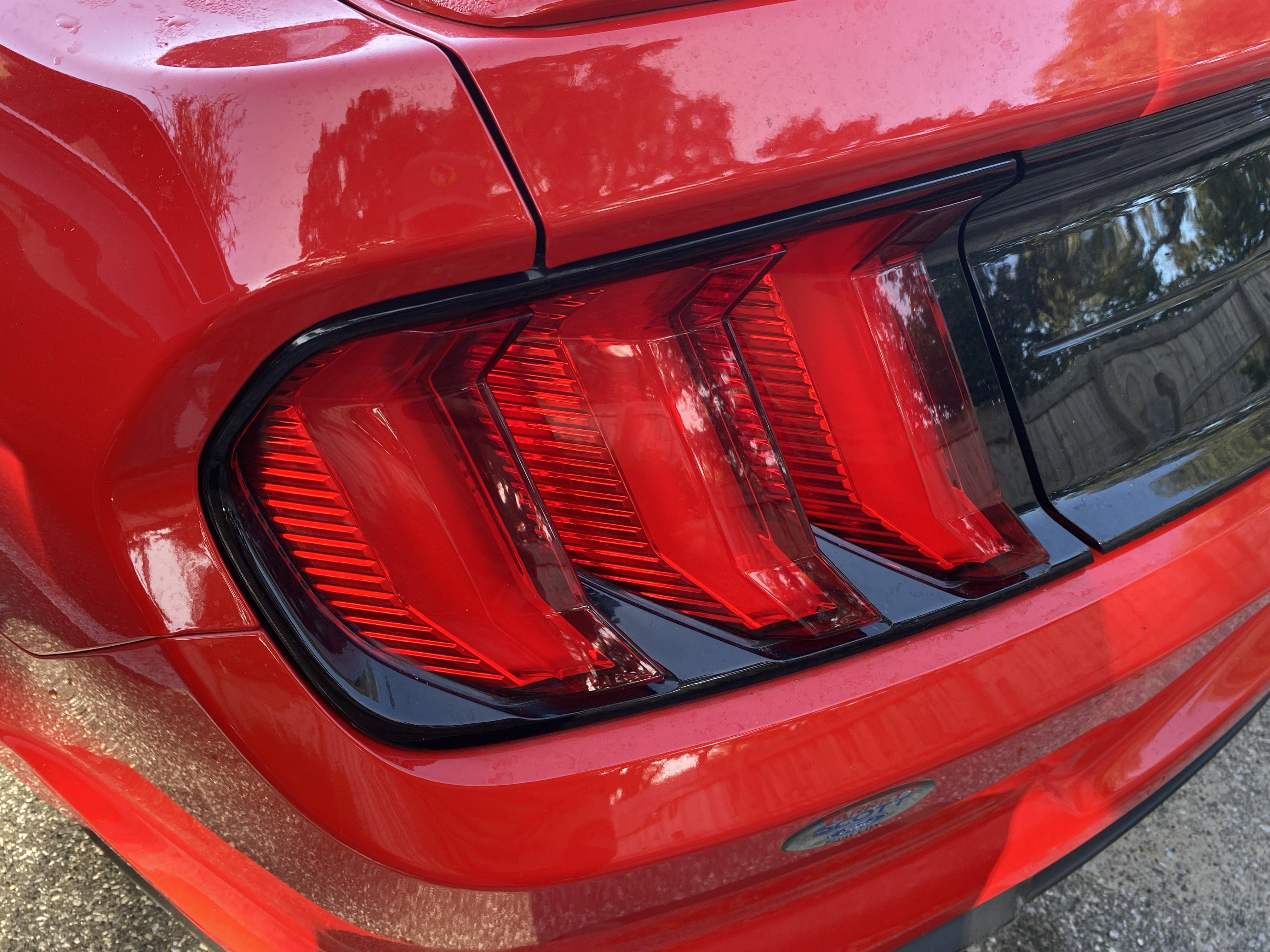 Used 2018 Ford Mustang Premium w/ Equipment Group 201A RWD image 21