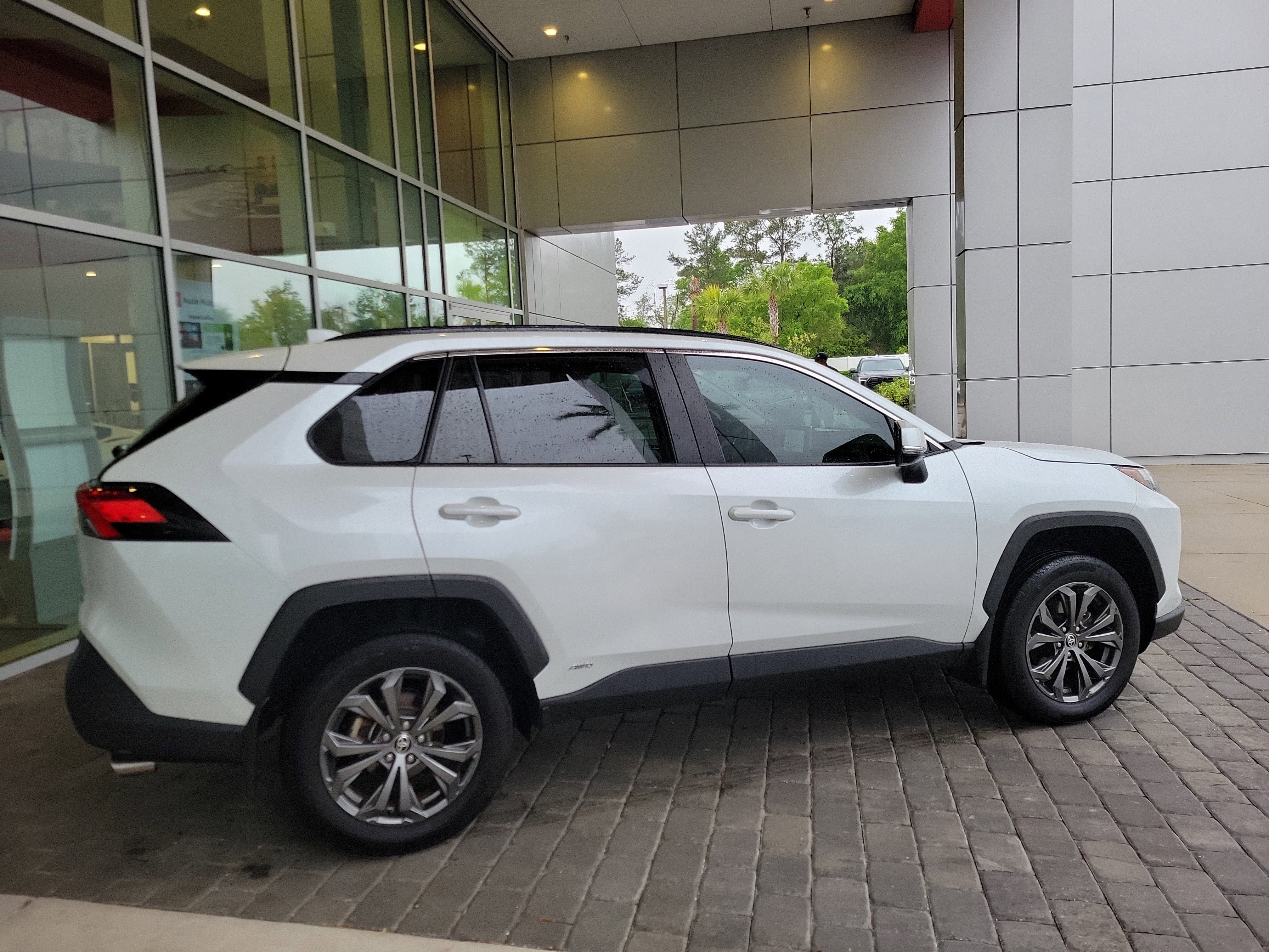 Certified 2025 Toyota RAV4 XLE Premium image 7