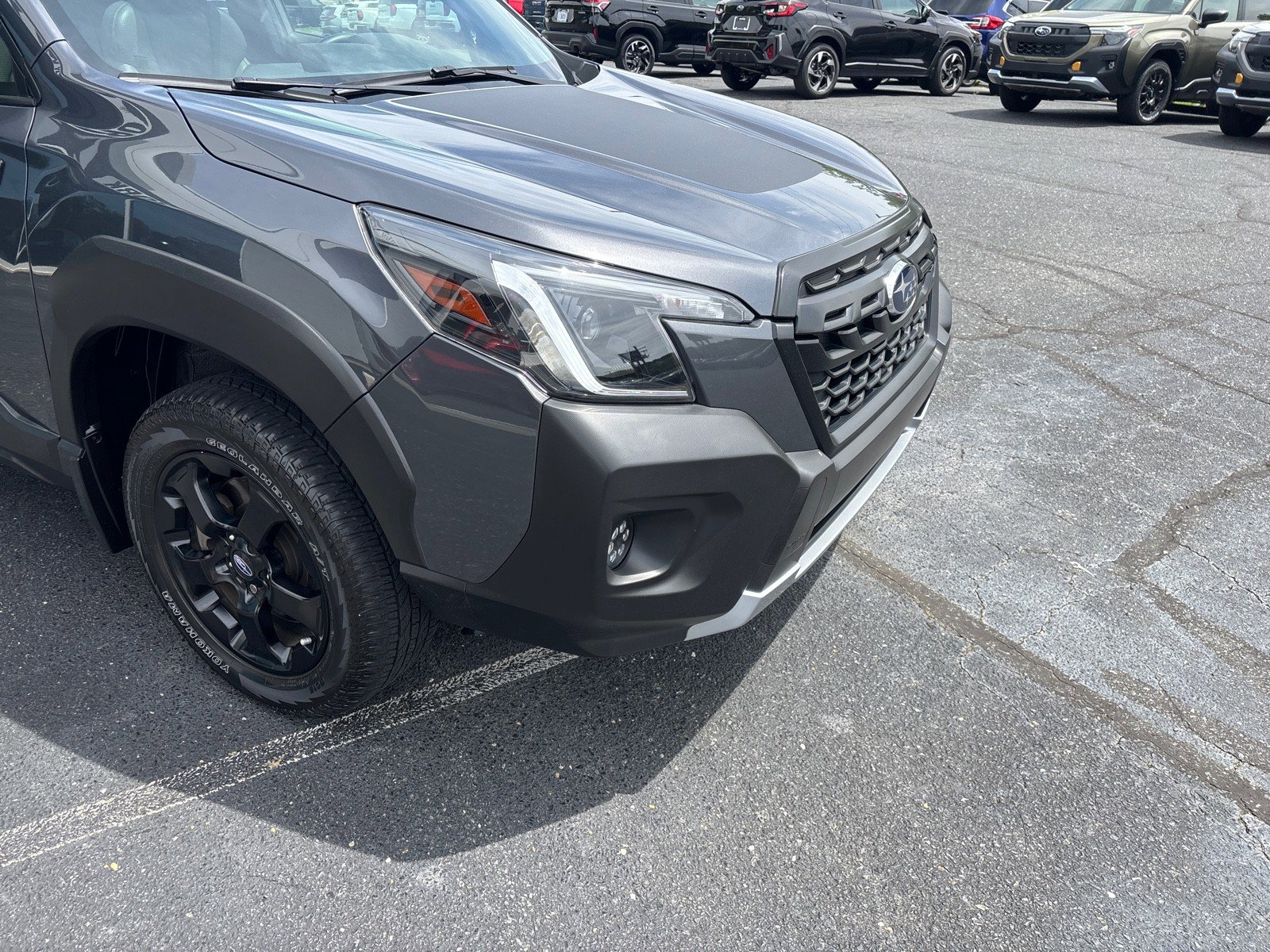 Used 2024 Subaru Forester Wilderness image 6