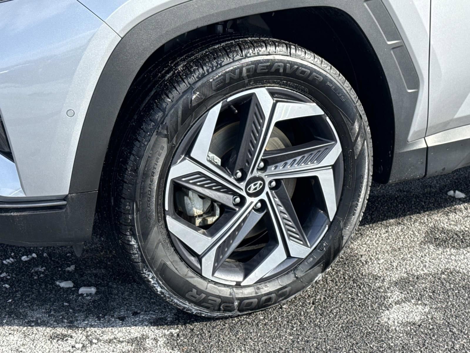 Used 2024 Hyundai Tucson Limited image 7