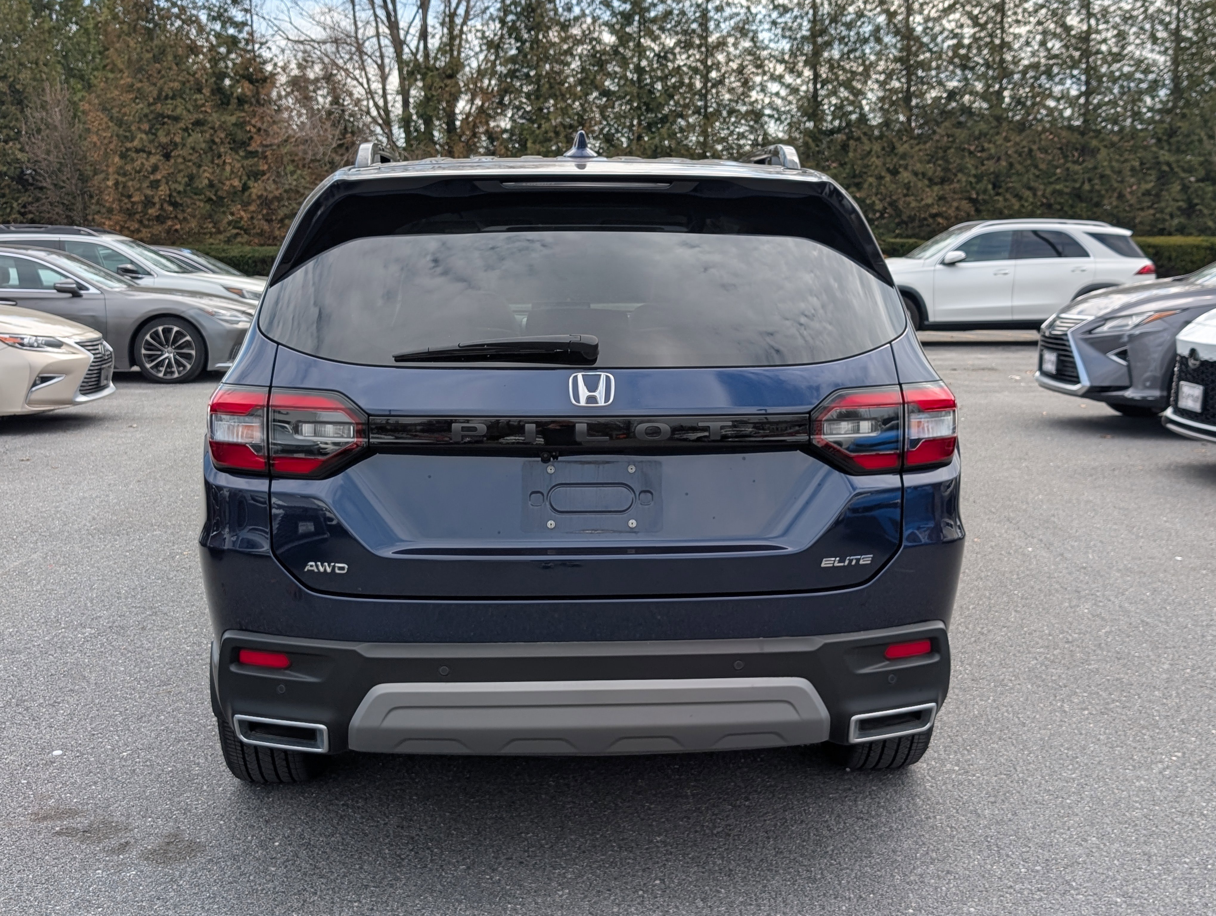 Used 2025 Honda Pilot Elite image 4