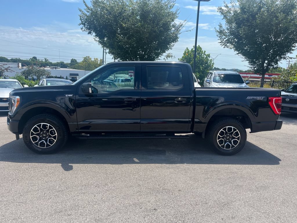Used 2023 Ford F150 XLT w/ Equipment Group 302A High AWD/4WD image 5