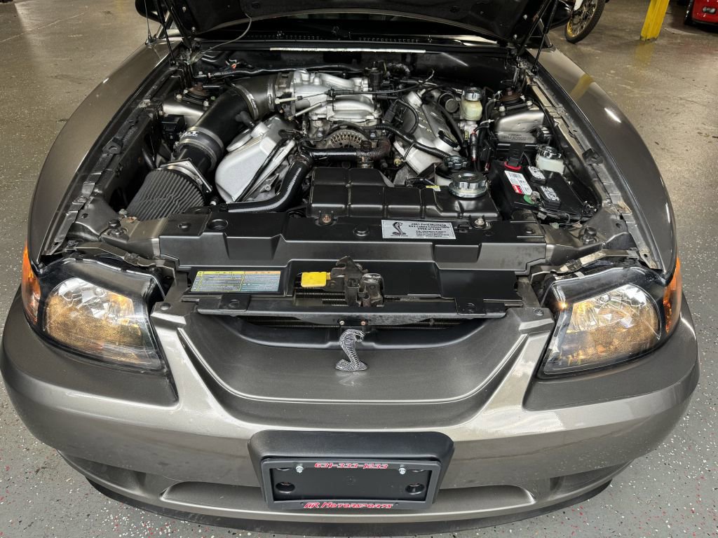 Used 2001 Ford Mustang Cobra image 11