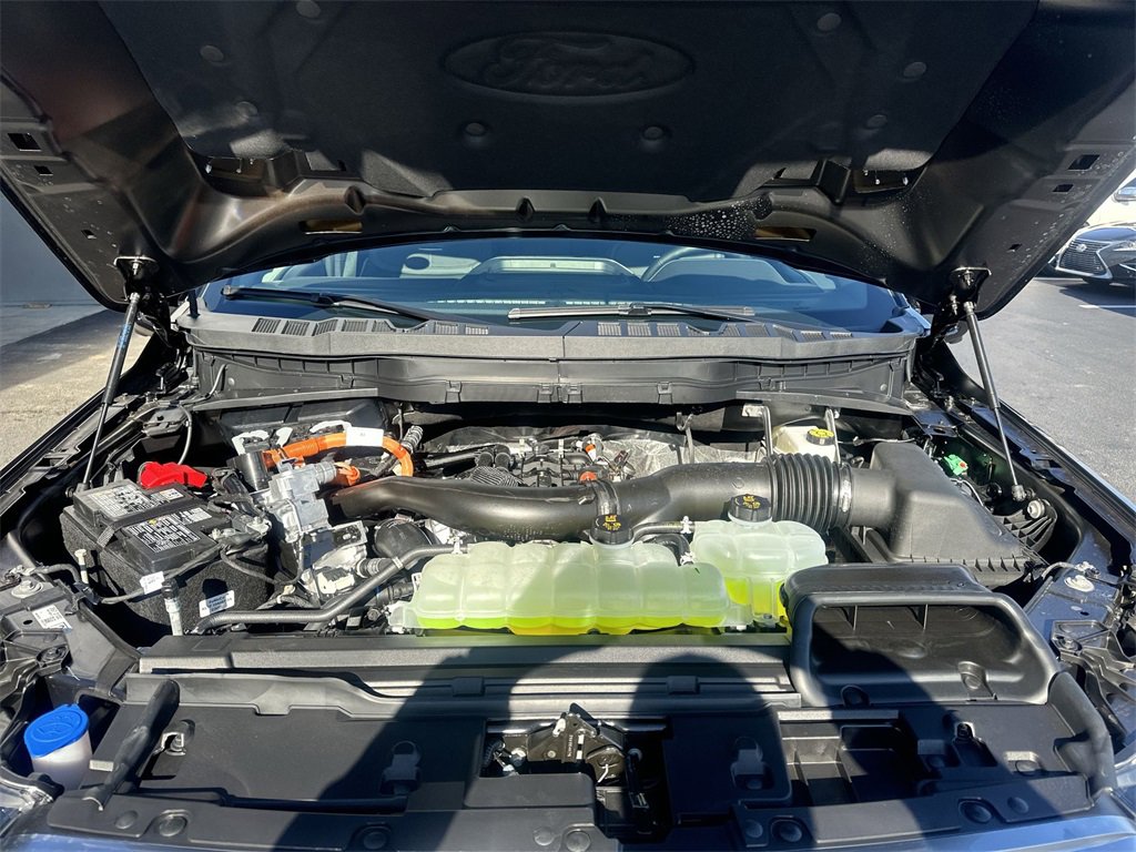 New 2026 Ford F150 Platinum w/ Equipment Group 701A Base image 31