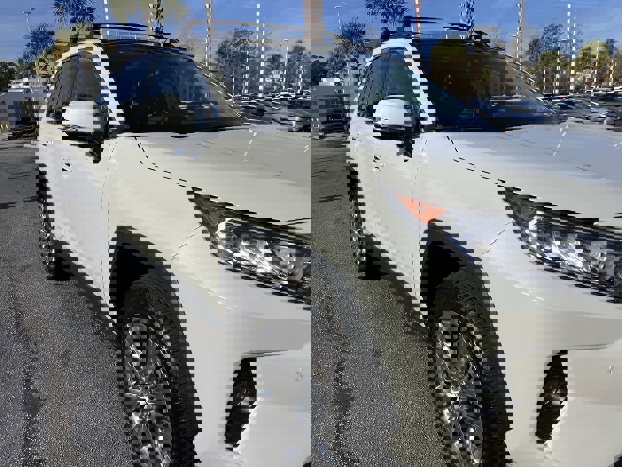 Used 2019 Toyota RAV4 Limited image 2