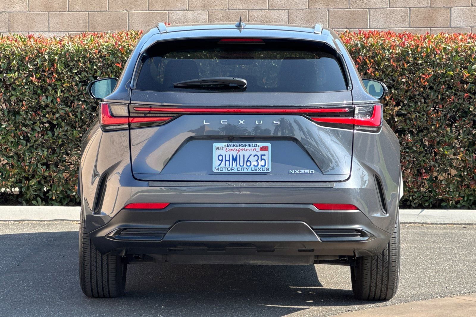 Certified 2024 Lexus NX 250 FWD image 5
