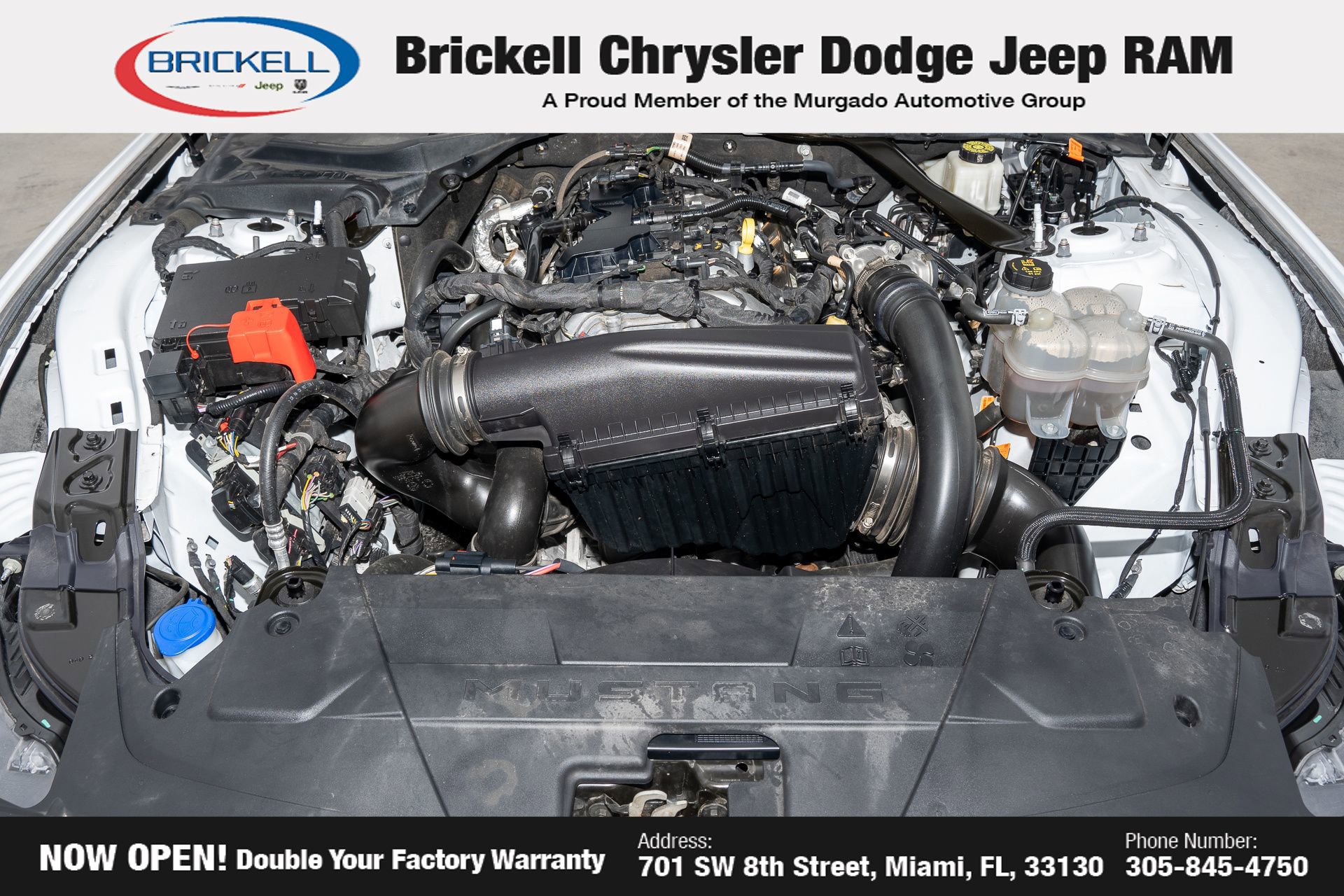 Used 2024 Ford Mustang Premium RWD image 31