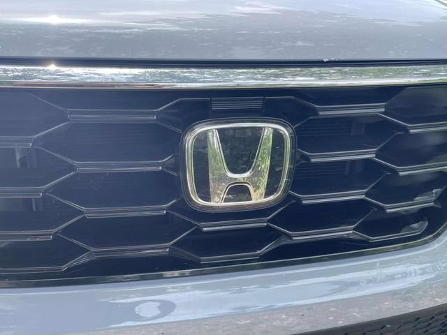 Used 2025 Honda Pilot Touring image 11