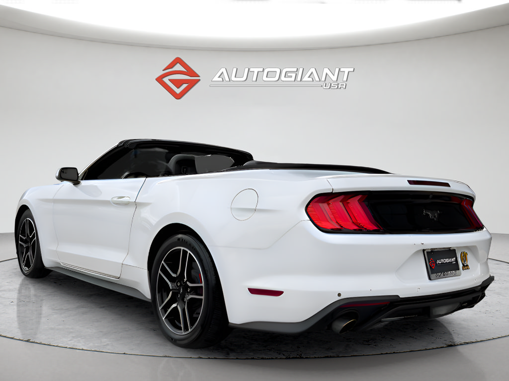 Used 2019 Ford Mustang Premium RWD image 7