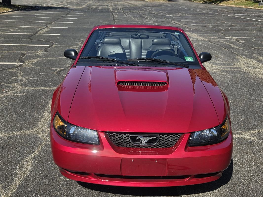 Used 2001 Ford Mustang GT image 3