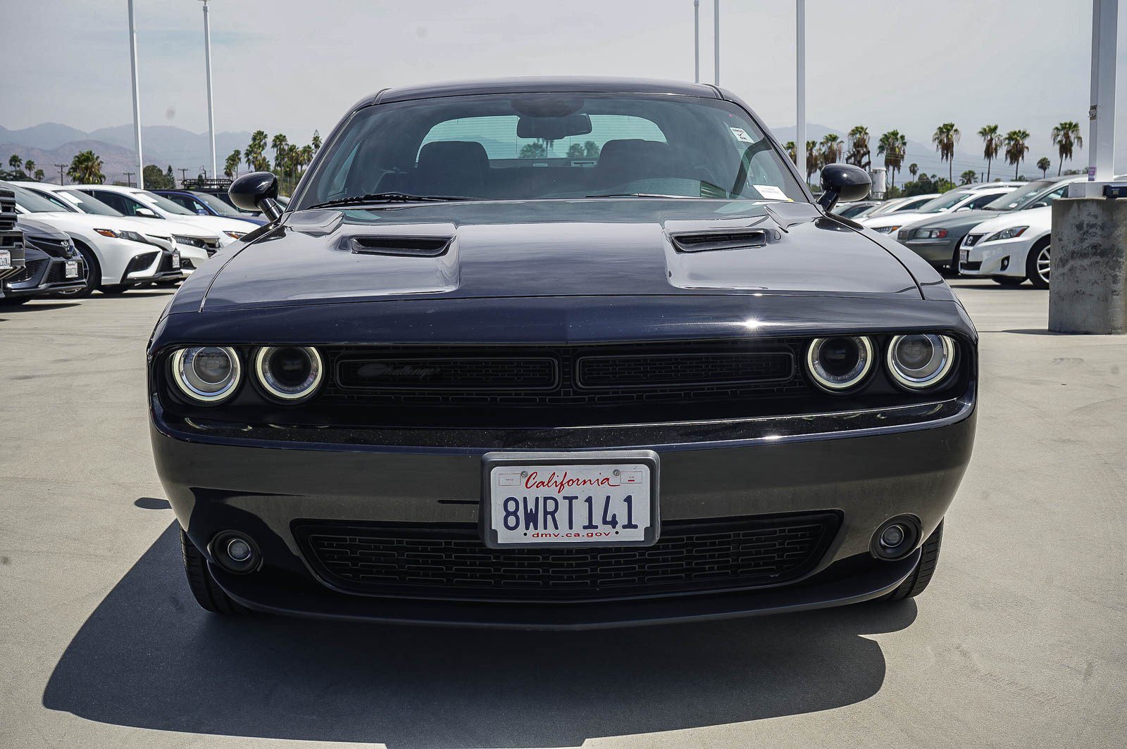 Used 2021 Dodge Challenger SXT w/ Blacktop Package RWD image 2