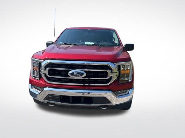 Used 2021 Ford F150 XLT w/ Equipment Group 302A High image 8