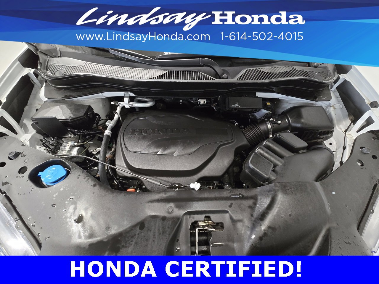 Certified 2024 Honda Ridgeline RTL image 23