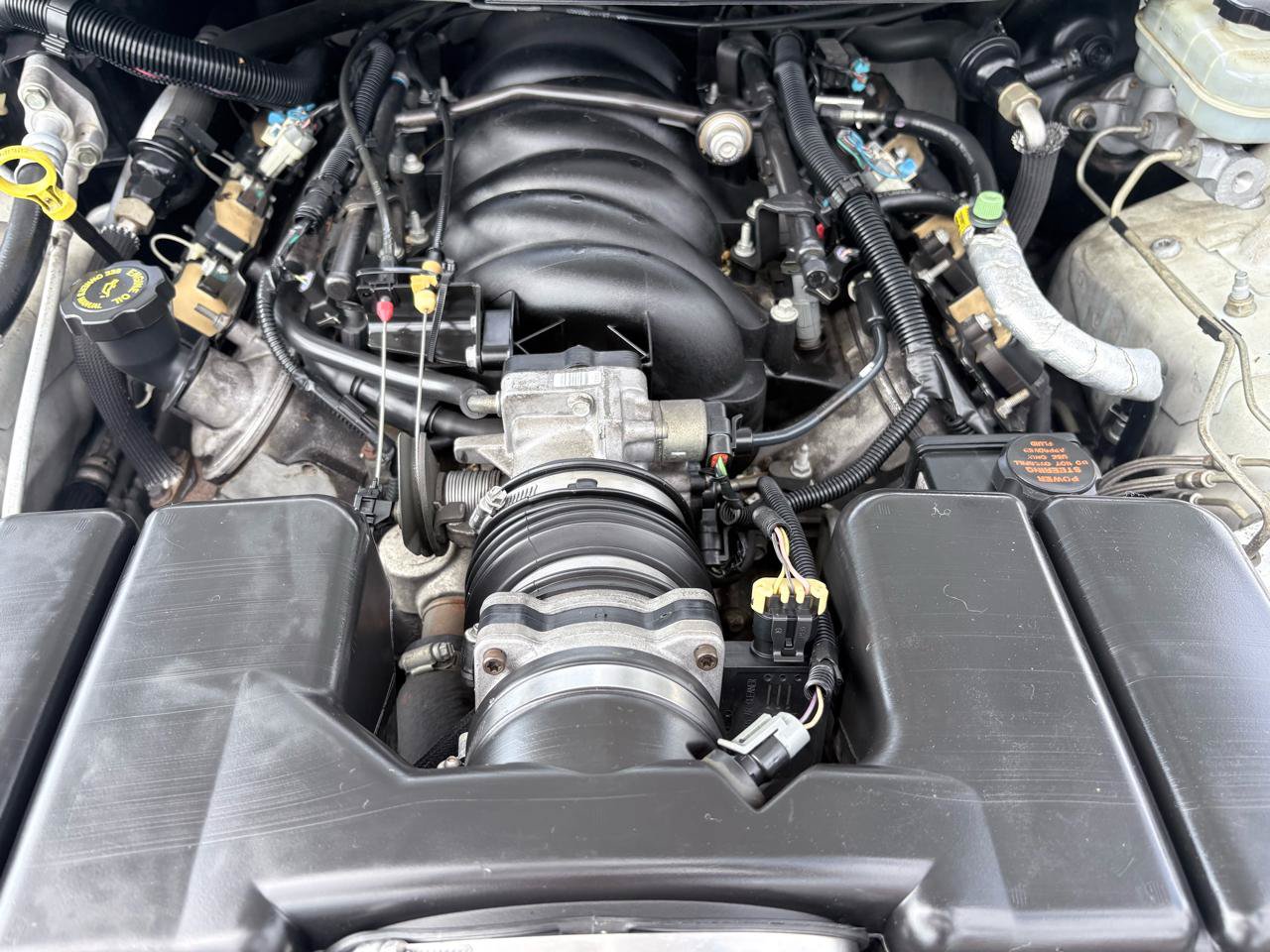 Used 2002 Pontiac Firebird Formula w/ SLP Firehawk Pkg RWD image 24