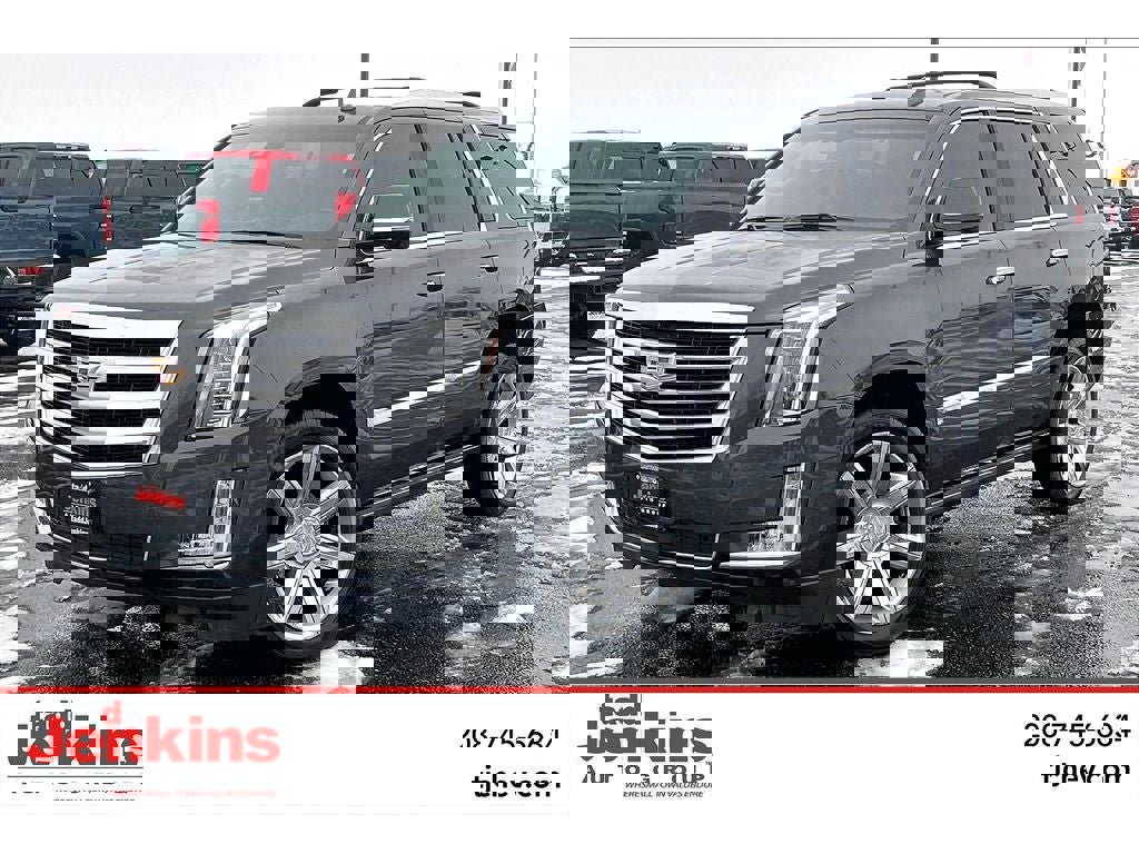 Used 2016 Cadillac Escalade Premium image 1