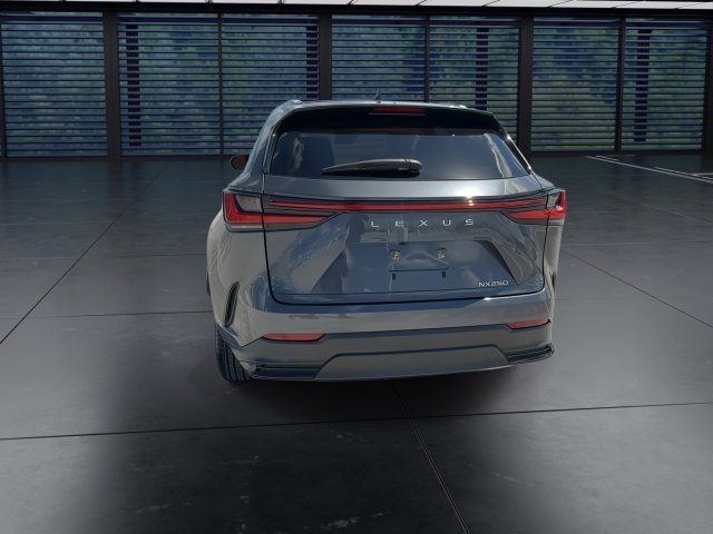 Certified 2024 Lexus NX 250 FWD w/ Cold Area Package image 7