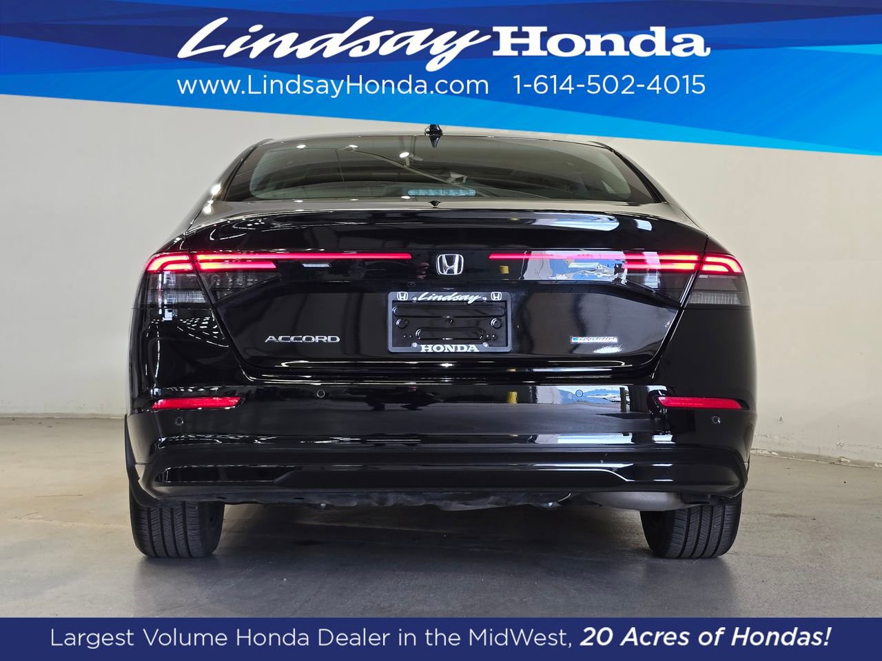 Used 2025 Honda Accord EX-L image 6