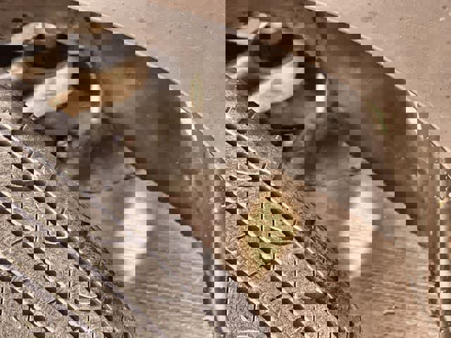 Used 2023 Subaru Outback Touring image 23