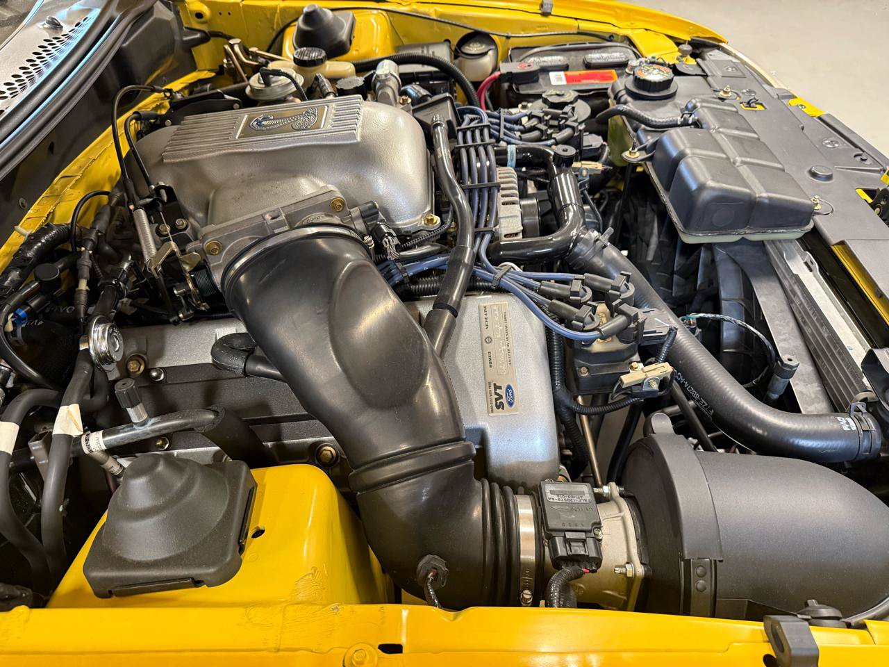 Used 1998 Ford Mustang Cobra RWD image 30